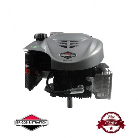 Moteur complet BRIGGS ET STRATTON 190cc Quantum 675 monocylindre