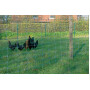 Grillage BETAFENCE 7045137