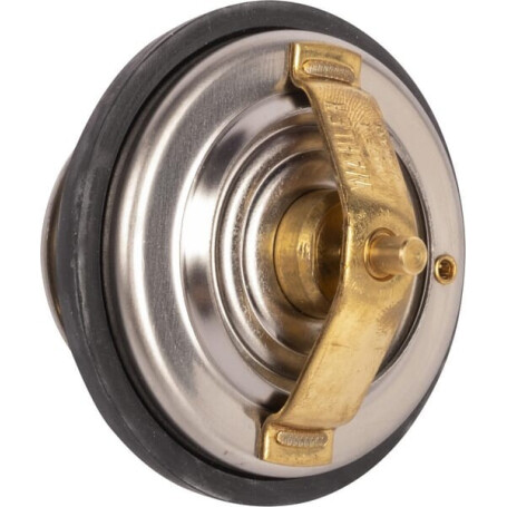 Valve GOLDONI V0069151
