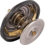 Valve GOLDONI V0069151