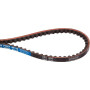 Courroie OPTIBELT XPZ800XEP