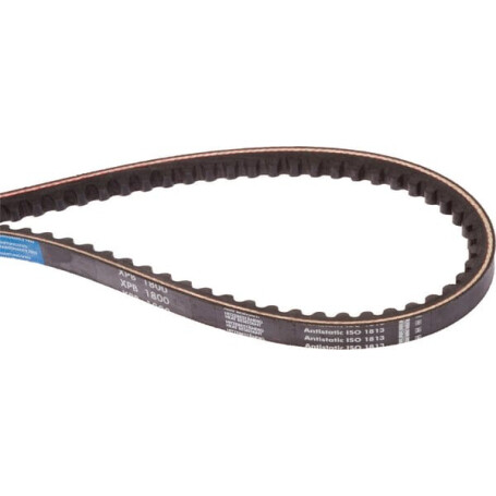 Courroie OPTIBELT XPB1800XEP