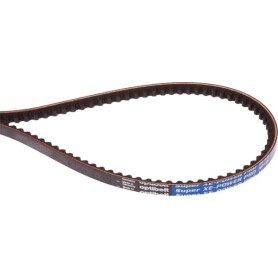 Courroie OPTIBELT XPA1950XEP