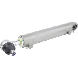 Servo-Lenkzylinder RAICO 5189891N