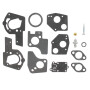 Kit de carburateur BRIGGS ET STRATTON 495606 - 494624
