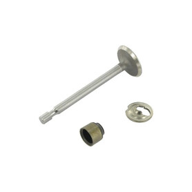 Soupape d'admission Briggs et Stratton 795443