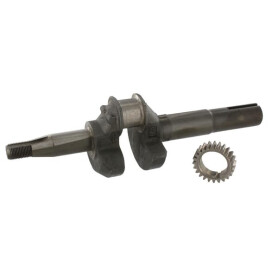 Vilebrequin BRIGGS ET STRATTON 493726