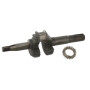 Vilebrequin BRIGGS ET STRATTON 493726