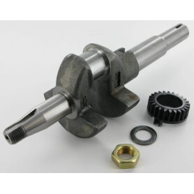Vilebrequin BRIGGS ET STRATTON 793429