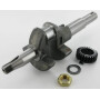 Vilebrequin BRIGGS ET STRATTON 793429
