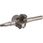 Vilebrequin HONDA 06131Z8DW00