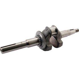 Vilebrequin HONDA 06131Z8DW20