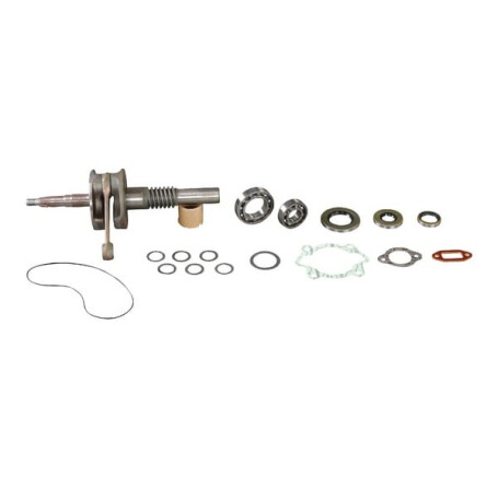 Vilebrequin AS-MOTOR E10541ASM
