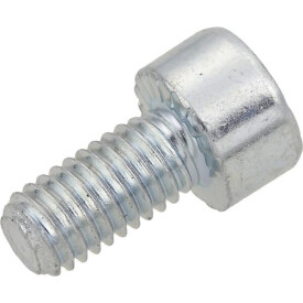 Vite T.C.E.I. M 5x10 Znb LISAM X3029