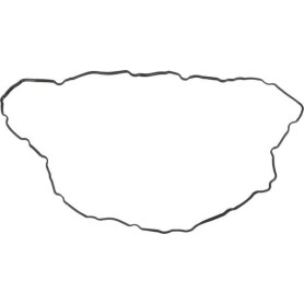 Rondelle SPICER DANA 4203922
