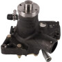 Pompe à eau SDF 003141584