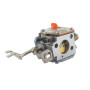 Carburateur WACKER 5208361