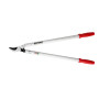 Coupe branches BERGER BRG4214