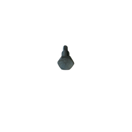 Vis IBEA P3040066
