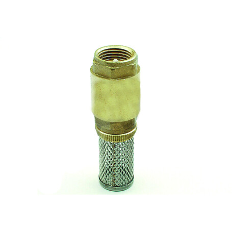Crépine anti-retour laiton + inox filetage 3/4''