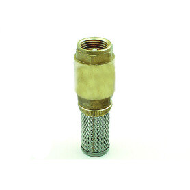 Crépine anti-retour laiton + inox filetage 1''
