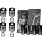 Kit piston VAPORMATIC VPB9079