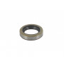 Joint Spi BRIGGS ET STRATTON 391483S