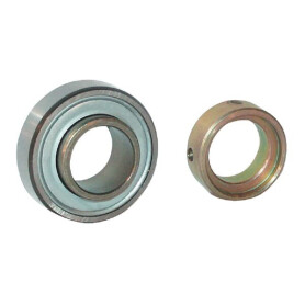 Roulement INA/FFAG RAE20NPP
