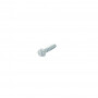 Vis parker à tête héxagonale 6 x 22 mm GGP - CASTELGARDEN 112735406/0