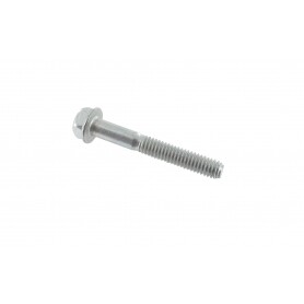 Vis BRIGGS ET STRATTON 690360