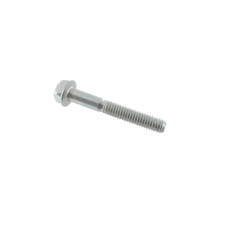 Vis BRIGGS ET STRATTON 690360