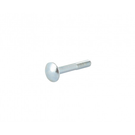 Vis Japy M8 x 55mm GGP - CASTELGARDEN 112819121/0