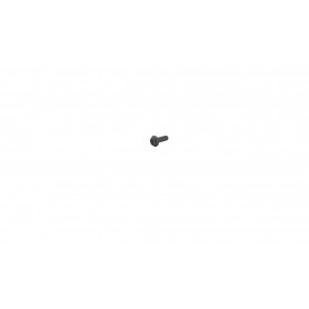 Vis torx 4 x 12mm GGP - CASTELGARDEN 123878023/0