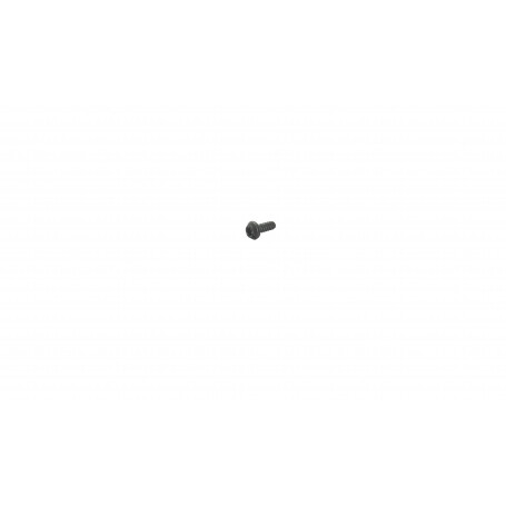 Vis torx 4 x 12mm GGP - CASTELGARDEN 123878023/0