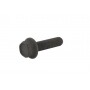 Vis de 32 mm AYP 181712