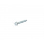 Vis parker tête héxagonale GGP - CASTELGARDEN 112735410/0