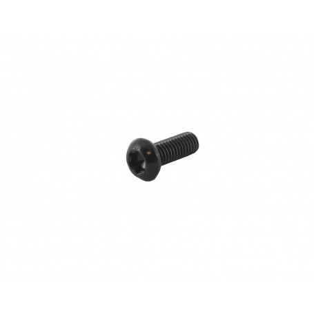 Vis tête Torx M6 x 15mm GGP - CASTELGARDEN 123878109/0