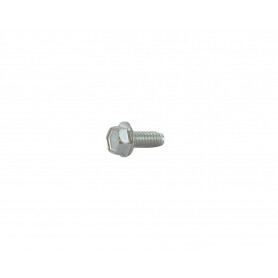 Vis de fixation 6 x 15 mm BRIGGS ET STRATTON 691108