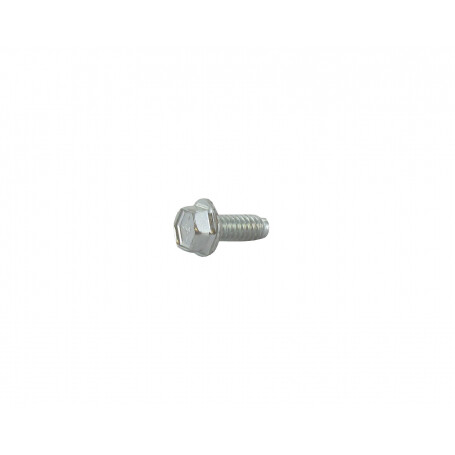 Vis de fixation 6 x 15 mm BRIGGS ET STRATTON 691108