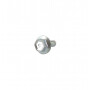 Vis pour grille de protection d'échappemet BRIGGS ET STRATTON 790745