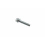 Vis BRIGGS ET STRATTON 691129