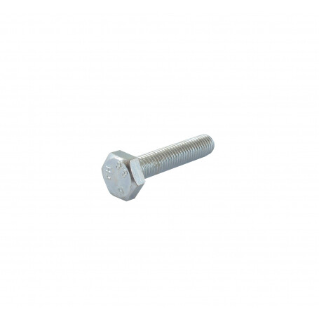 Vis à tête hexagonale M10 x 50 mm GGP - CASTELGARDEN 9997-1050-16