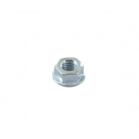 Ecrou hexagonal GGP - CASTELGARDEN 112154220/0