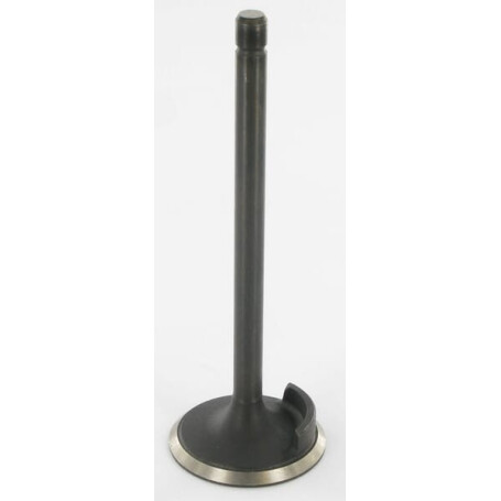 Soupape d'admission FIATAGRI 4802200