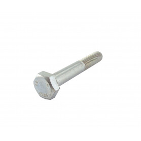 Vis tête héxagonale M10 x 65 mm GGP - CASTELGARDEN 9997-1065-12