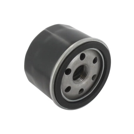 Filtro olio MTD 751-11501 - 751-12690 - 75111501 - 75112690
