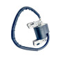 Bobine d'allumage BRIGGS ET STRATTON 591459