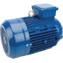 Moteur électrique 4 kW UNIVERSEL EM112L4B14500IE3A