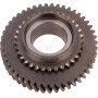 Engrenage SDF 00100006020