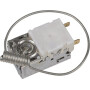 Interrupteur SDF 001025220
